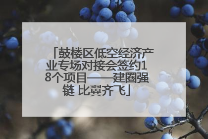 鼓楼区低空经济产业专场对接会签约18个项目——建圈强链 比翼齐飞