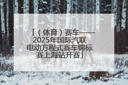 （体育）赛车——2025年国际汽联电动方程式赛车锦标赛上海站开赛