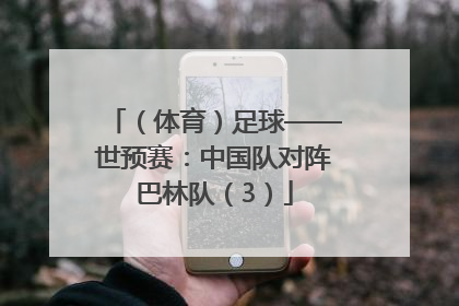 （体育）足球——世预赛：中国队对阵巴林队（3）