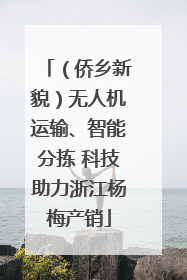 （侨乡新貌）无人机运输、智能分拣 科技助力浙江杨梅产销