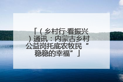 （乡村行·看振兴）通讯：内蒙古乡村公益岗托底农牧民“稳稳的幸福”