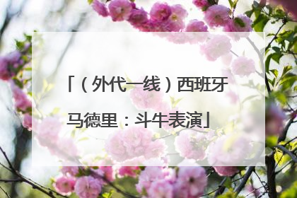 （外代一线）西班牙马德里：斗牛表演
