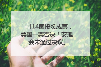 14国投赞成票，美国一票否决！安理会未通过决议
