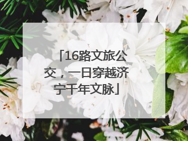 16路文旅公交，一日穿越济宁千年文脉
