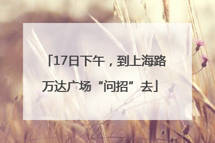 17日下午，到上海路万达广场“问招”去