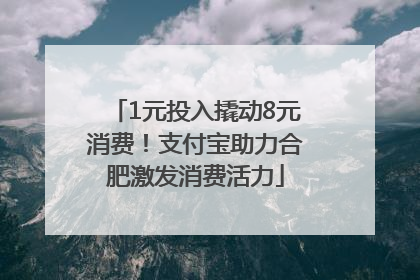 1元投入撬动8元消费！支付宝助力合肥激发消费活力