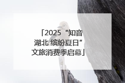 2025“知音湖北 缤纷夏日”文旅消费季启幕