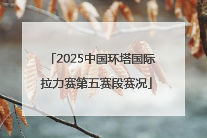 2025中国环塔国际拉力赛第五赛段赛况