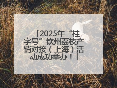 2025年“桂字号”钦州荔枝产销对接（上海）活动成功举办！