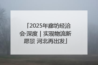 2025年廊坊经洽会·深度｜实现物流新愿景 河北再出发