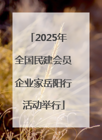 2025年全国民建会员企业家岳阳行活动举行