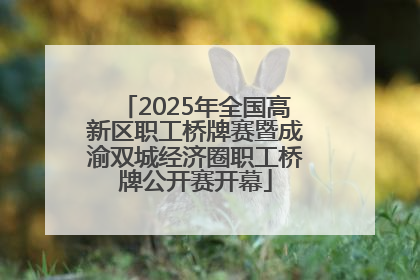 2025年全国高新区职工桥牌赛暨成渝双城经济圈职工桥牌公开赛开幕