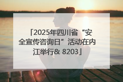 2025年四川省“安全宣传咨询日”活动在内江举行& 8203
