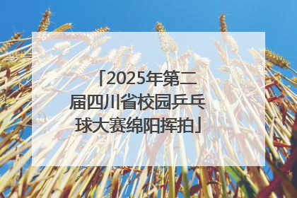 2025年第二届四川省校园乒乓球大赛绵阳挥拍