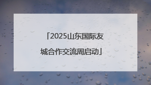 2025山东国际友城合作交流周启动
