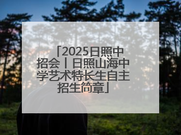 2025日照中招会丨日照山海中学艺术特长生自主招生简章