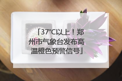 37℃以上！郑州市气象台发布高温橙色预警信号