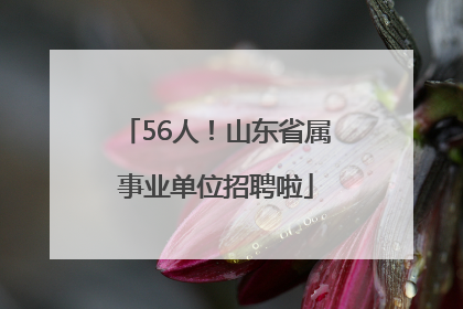 56人！山东省属事业单位招聘啦