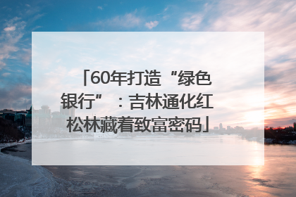 60年打造“绿色银行”：吉林通化红松林藏着致富密码