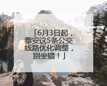 6月3日起，泰安这5条公交线路优化调整，别坐错！