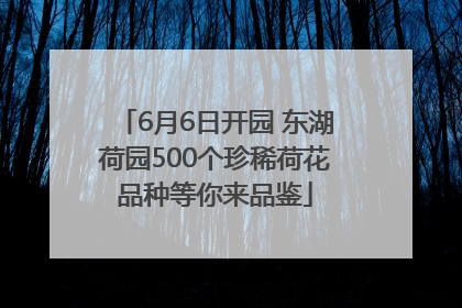 6月6日开园 东湖荷园500个珍稀荷花品种等你来品鉴