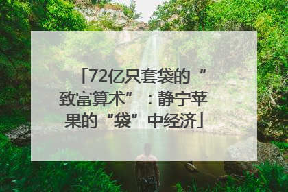 72亿只套袋的“致富算术”：静宁苹果的“袋”中经济