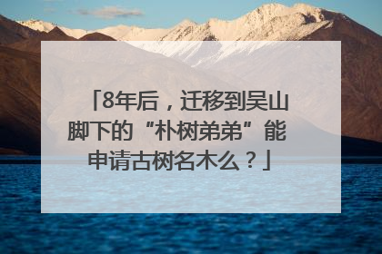 8年后，迁移到吴山脚下的“朴树弟弟”能申请古树名木么？