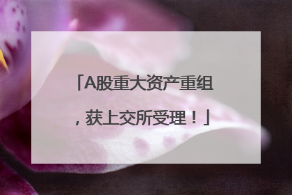 A股重大资产重组，获上交所受理！