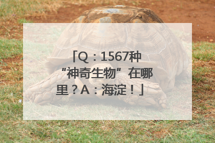 Q：1567种“神奇生物”在哪里？A：海淀！