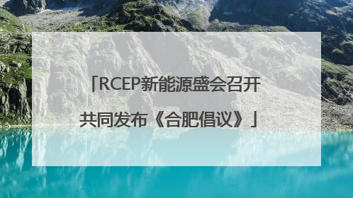 RCEP新能源盛会召开 共同发布《合肥倡议》